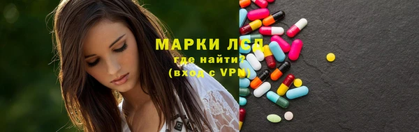 хмурый Аркадак