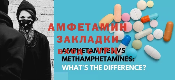 хмурый Аркадак