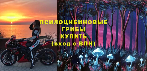 соль ск Арсеньев