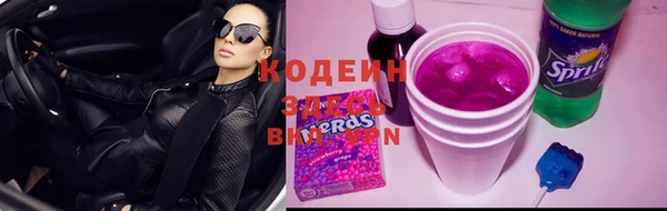 соль ск Арсеньев