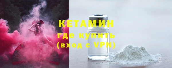 хмурый Аркадак