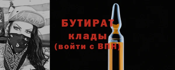 хмурый Аркадак