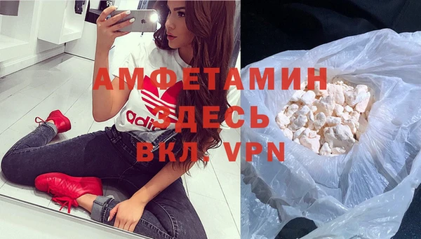 хмурый Аркадак