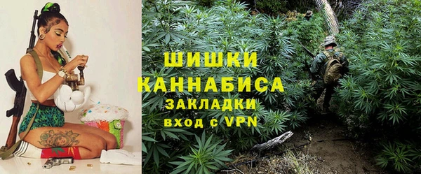 соль ск Арсеньев