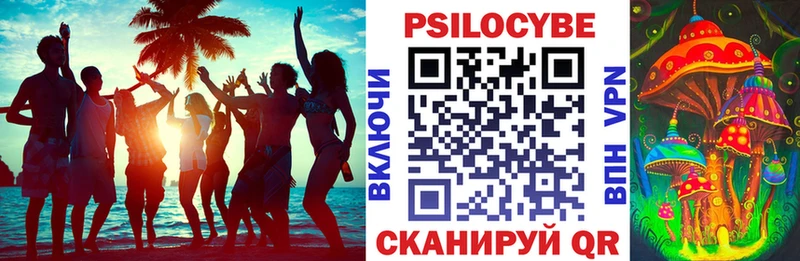 купить наркоту Сясьстрой Галлюциногенные грибы мицелий