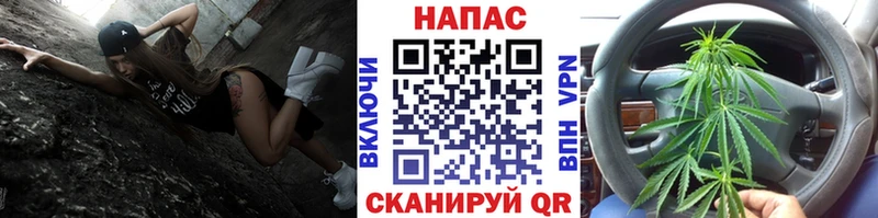 дарнет шоп  Сясьстрой  Шишки марихуана сатива 
